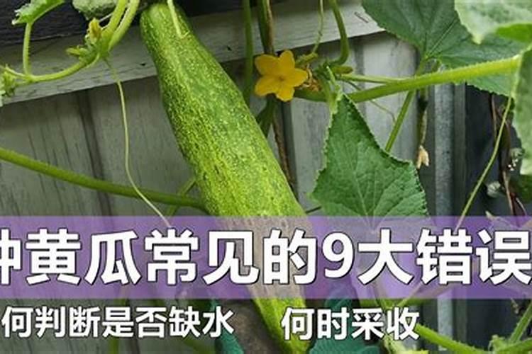 黄瓜造缺氮的发生原因和防治方法是什么？