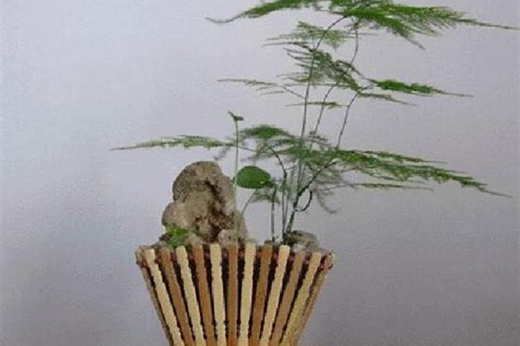 海藻肥的施用方法 注意事项有哪些