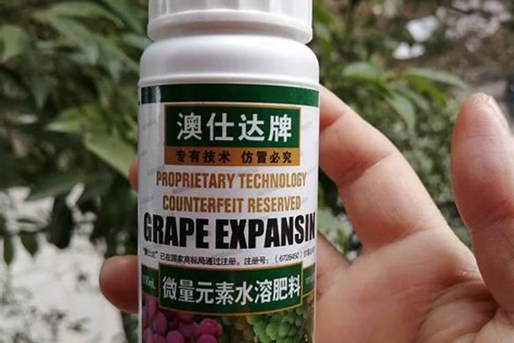 怎么预防葡萄脱粒、裂果、腐果问题