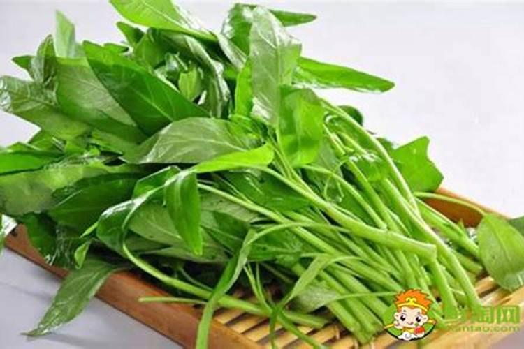 空心菜施什么肥长得快又嫩