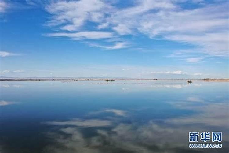 微量元素水溶肥的作用及功效