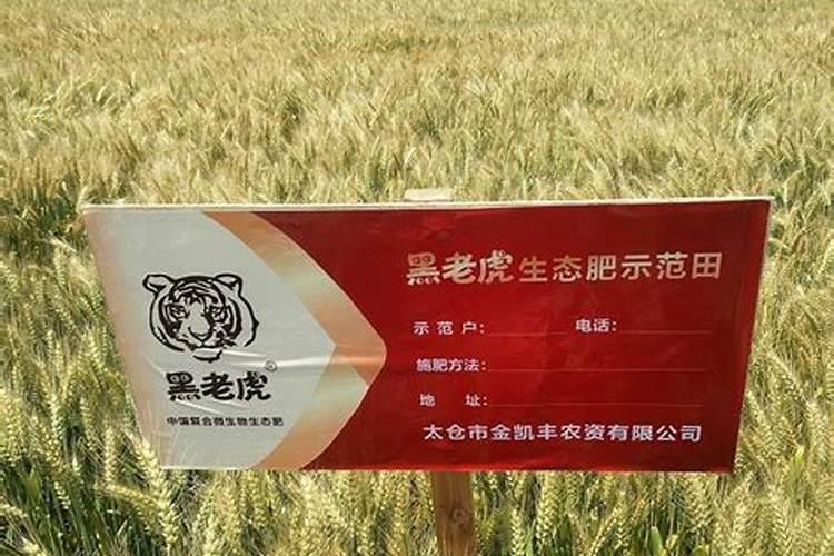 磷酸二铵是水溶肥料吗？可以做追肥吗？