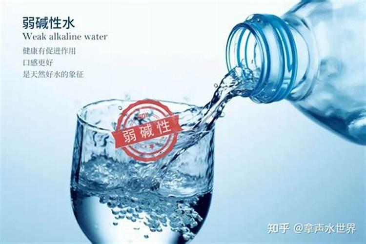 西洋诺威施有人了解吗？