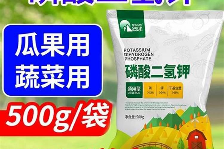 榴莲喜阴还是喜阳