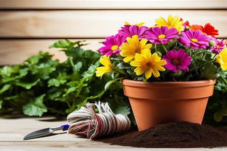 想要拿到登记证,这些大量元素水溶肥料检测指标要达到