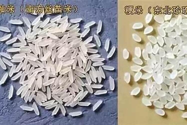 如何种出好的糯米 糯米养殖方法总结