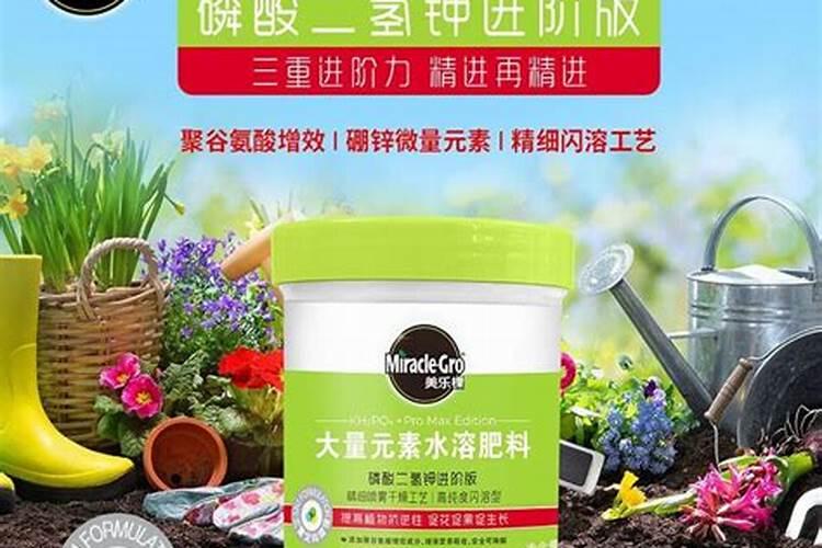 果树发生肥害时应该如何补救