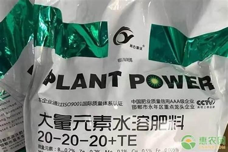 氮肥的作用及功能