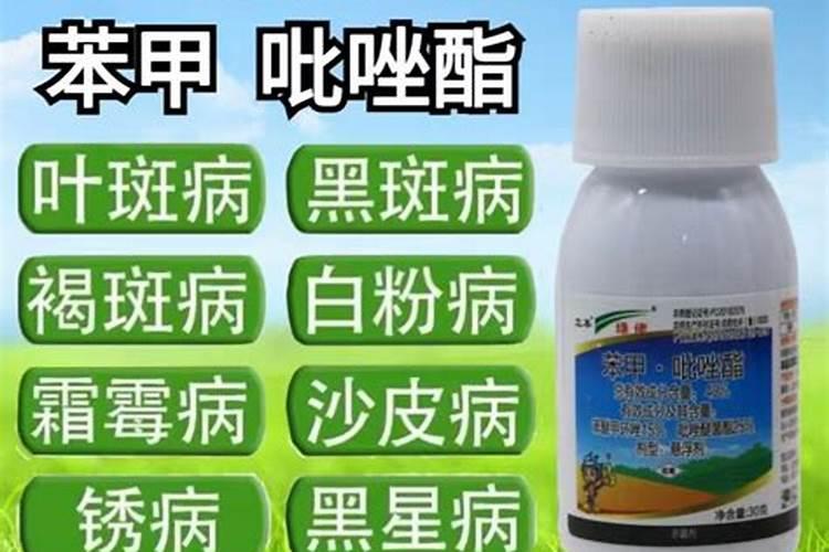 在石榴结果的阶段有没有必要施肥