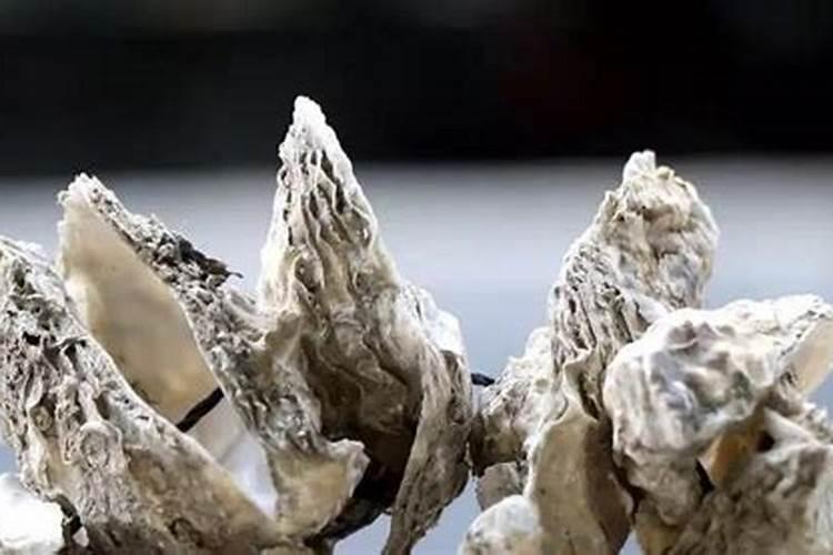 水溶肥啥时候用比较好