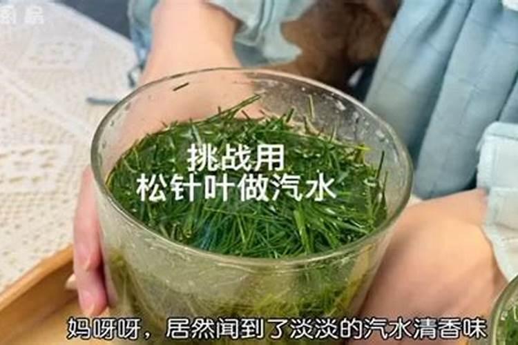 君子兰肥料多会怎样？