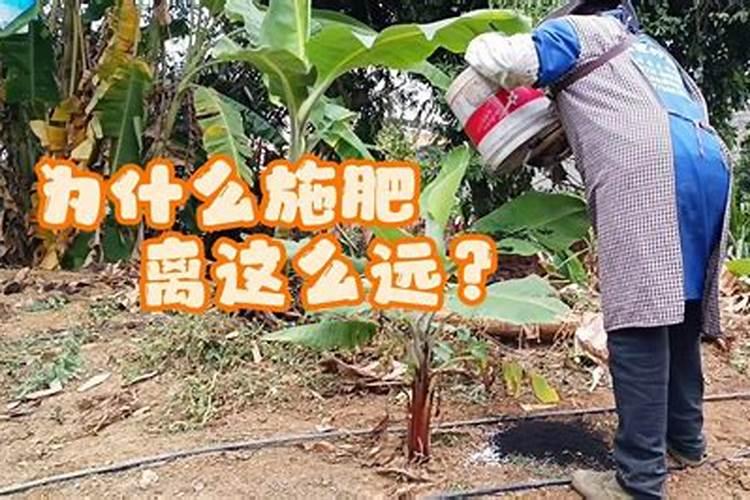 锌补多了对身体有害吗