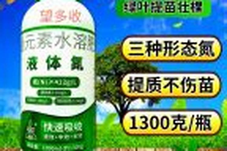 荔枝树发出嫩叶成白色状是什么病害