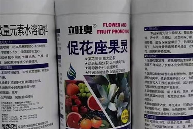 妃子笑荔枝11月嫩叶还没转绿如何处理？