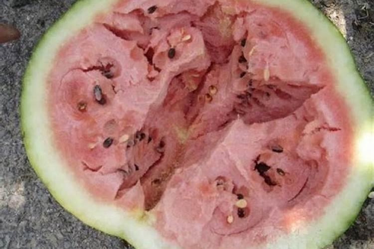 西瓜后期用什么肥？