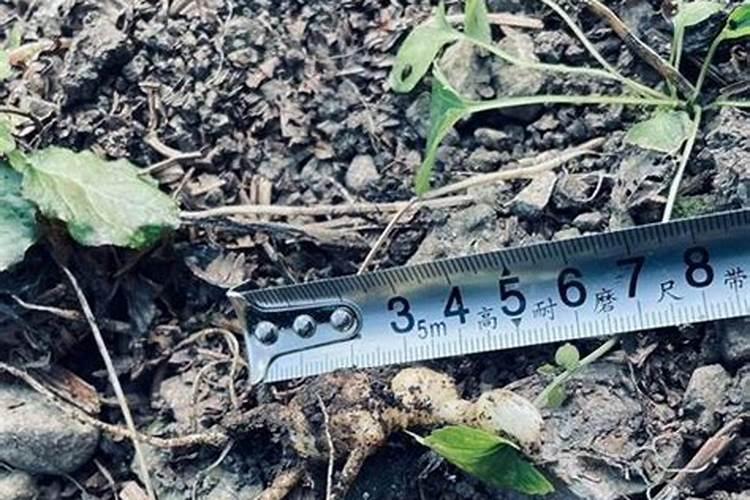 镁对身体健康的益处～缓解肌肉疼痛