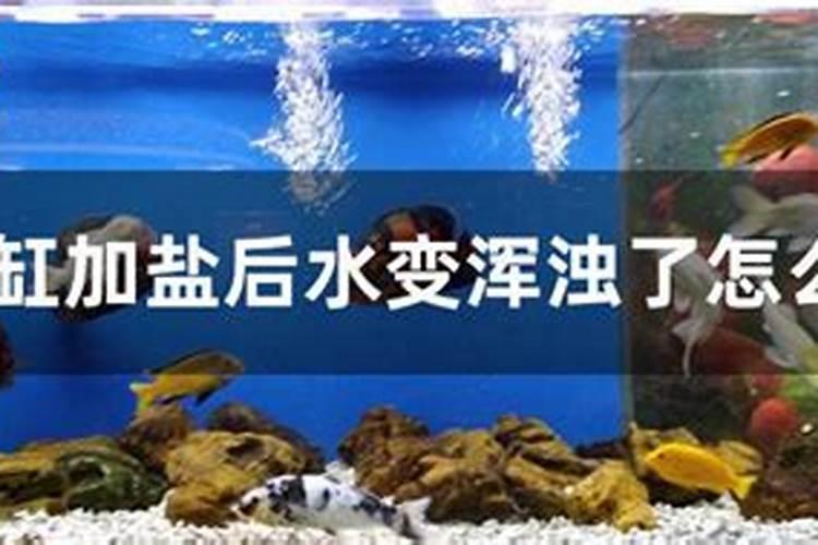 水培蝴蝶兰怎么施肥