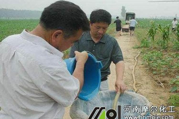 有机水溶肥登记,那些你不了解的事？