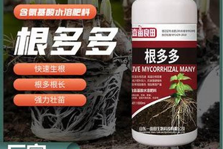 水溶肥国内排名第一的是哪个