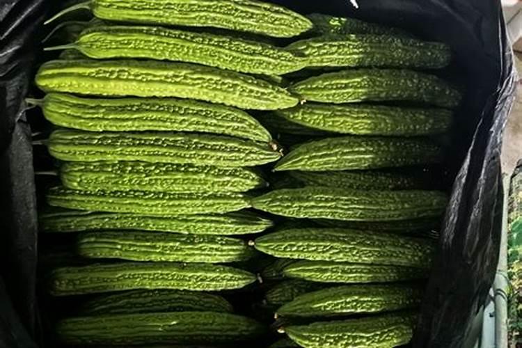 蓝莓怎样施肥施什么肥