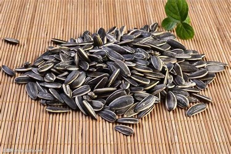 瓜子壳可以当肥料放花盆里吗