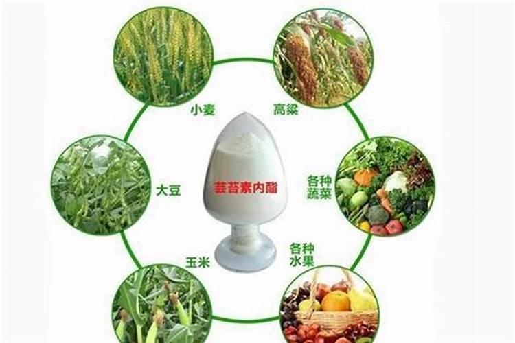 红糖叶面肥的绝密配方