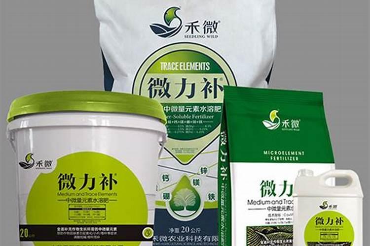 冬天树刷白白灰是干什么用的？