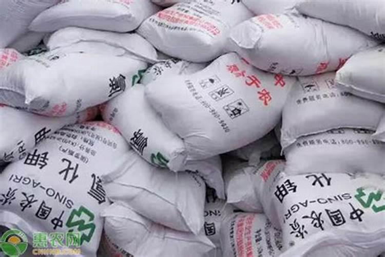 黄皮树用草木灰有什么作用