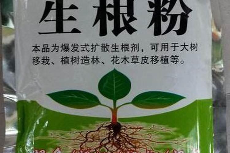 干货:老经验!乔木移栽保证成活的12大方法!