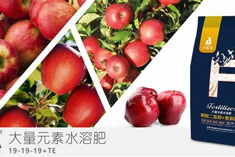 苹果树开花前施什么肥最好