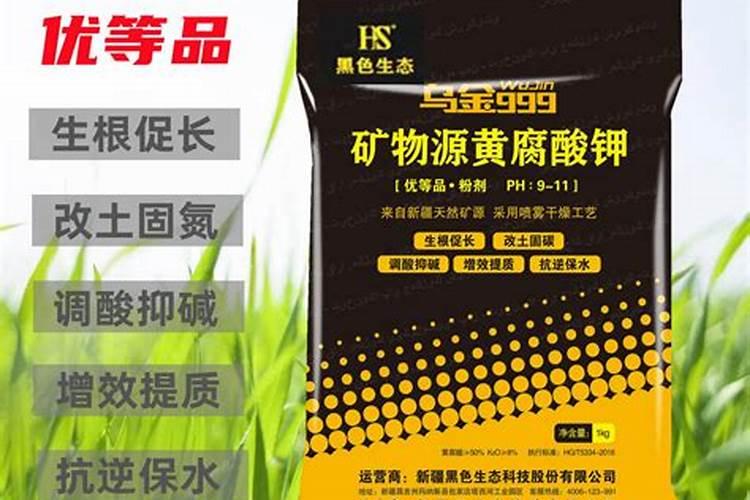 小麦吸收氮肥的两个高峰期是