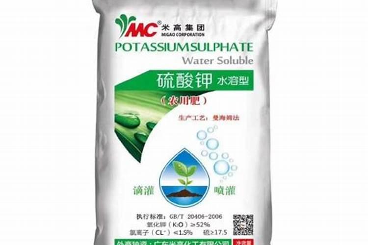 盆栽宝莲灯怎么施肥