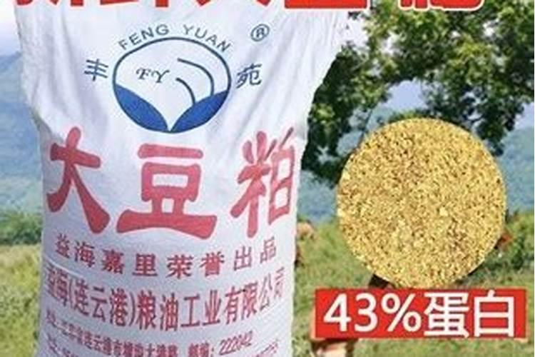 盆栽宝莲灯怎么施肥 如何养家庭盆栽宝莲灯花