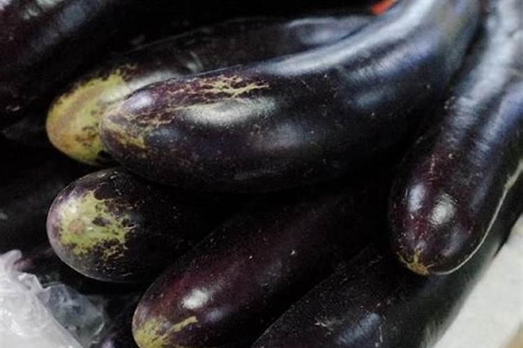 绿萝施什么肥好