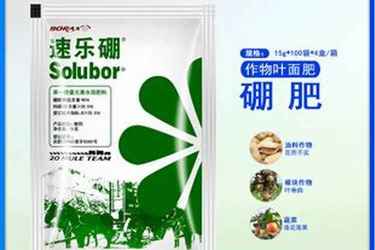 绣球花什么时候浇磷酸二氢钾