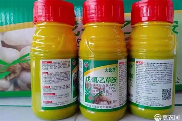 玉米专用复合肥能在土壤表面使用吗