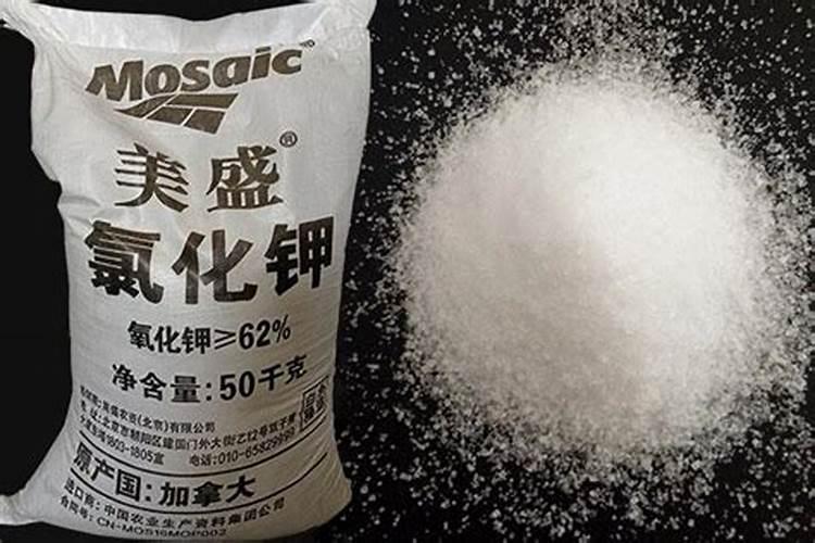 如何给丝瓜浇水 丝瓜苗浇水正确方法