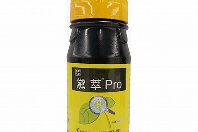 长生龙霍山石斛多少钱一公斤