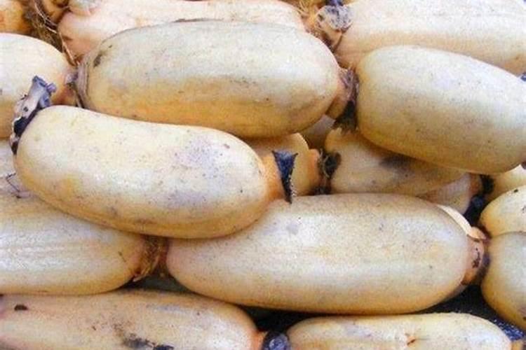 磷肥和钙肥能一起用吗 磷肥是酸性还是碱性的