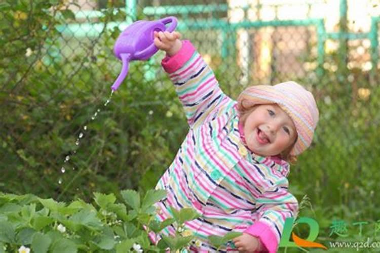 苹果可以放土里当肥料吗