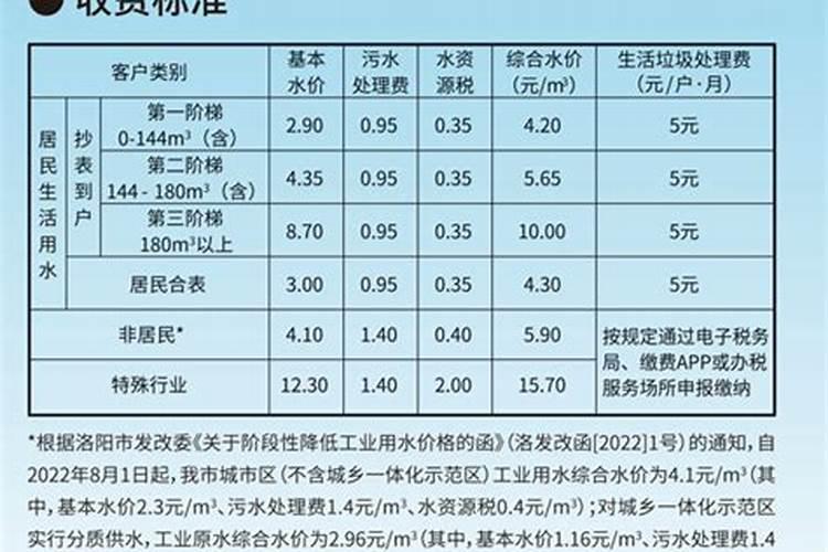 吊兰用什么肥料最好