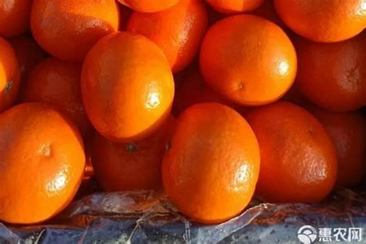 家里养花用什么肥料好