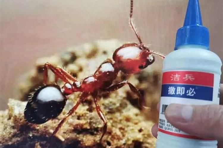 玉米在各个生育时期,对氮磷钾的比例要求是怎样的？