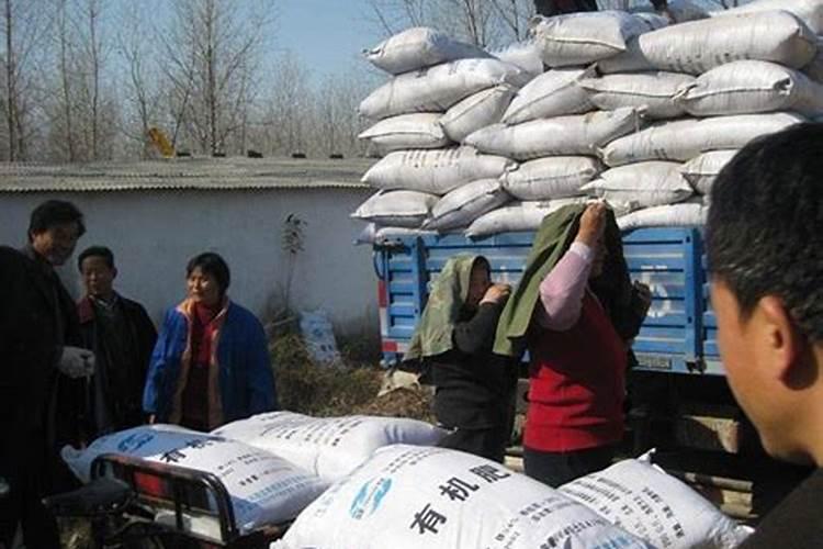 回乡种地的农民工注意了:骗局多样,没有他们干不出来的事