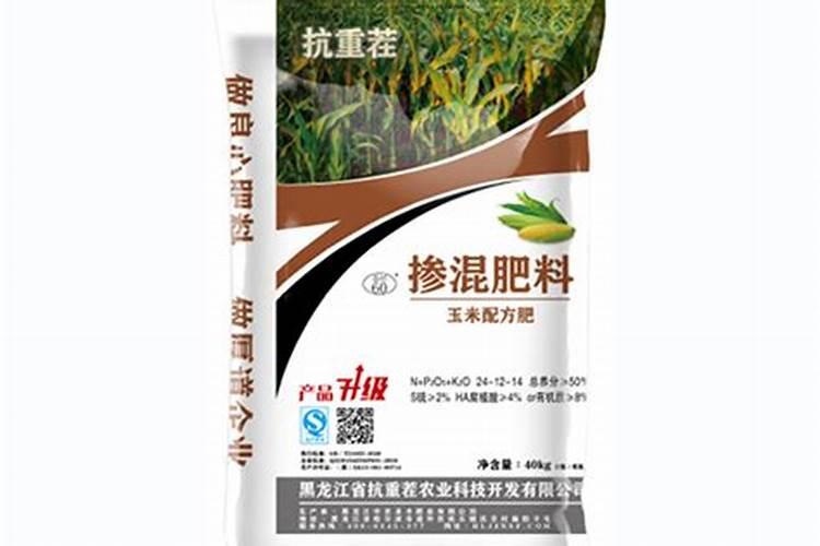 黑玉米在黑龙江能种吗生长期需要温度是多少