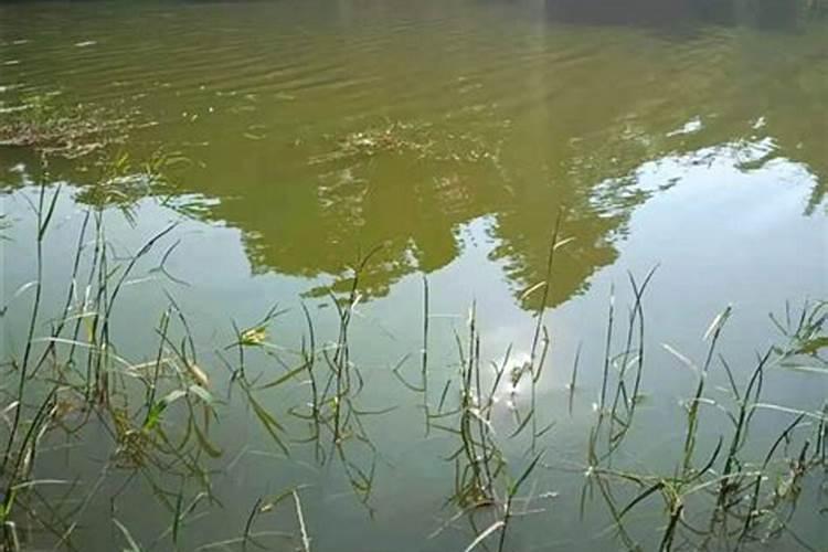 怎样区分氮肥和磷肥和钾肥