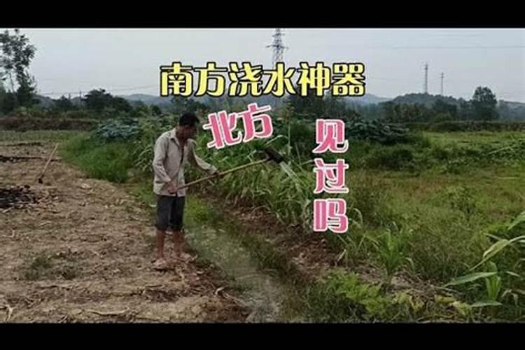 刚撒完复合肥就下大雨还有肥效吗？