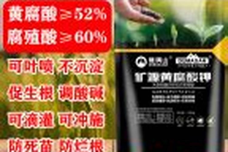 磷酸二氢钾控旺用量多少合适