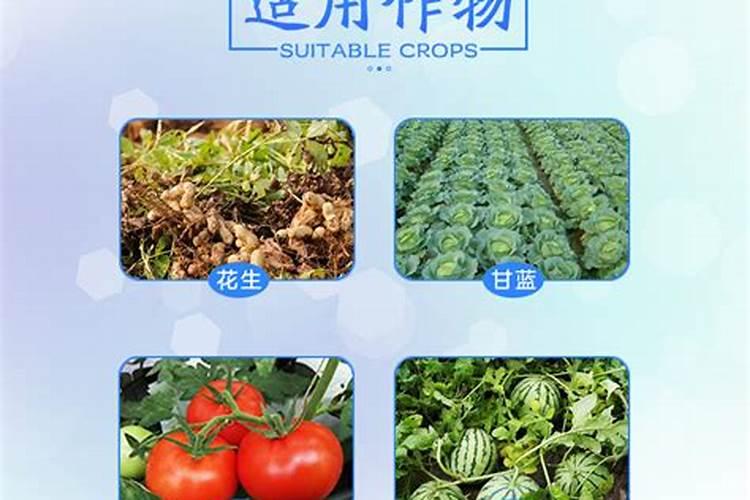 怎样区分氮肥和磷肥和钾肥