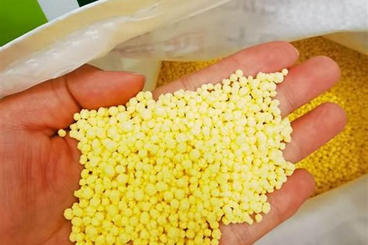 黄腐酸钾拌料栽培食用菌方法